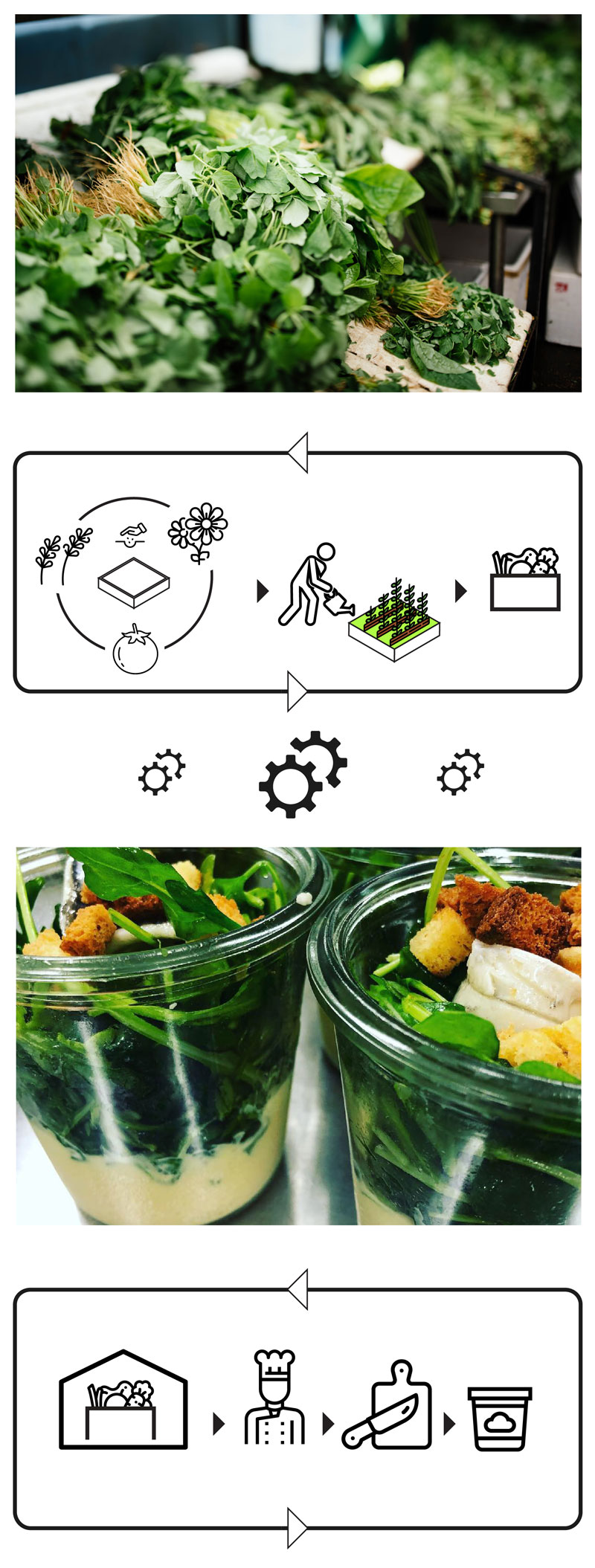 Lartichaut-nature-culture-Process