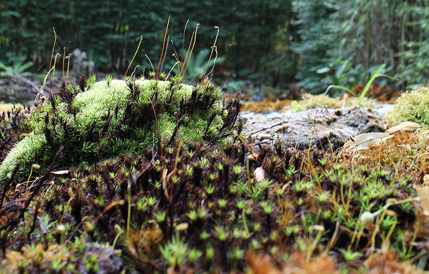 Tiers-Lieu-LArtichaut-Blog-Sol-S3-Printemps